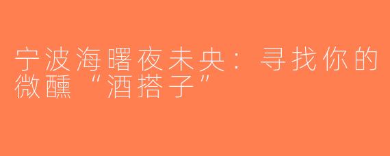 宁波海曙夜未央：寻找你的微醺“酒搭子”