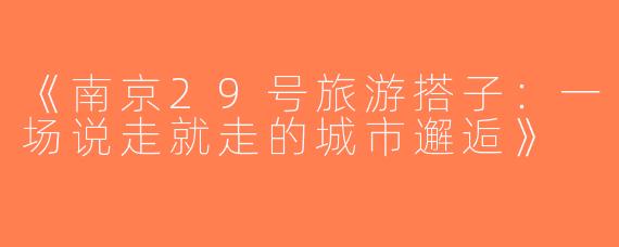 《南京29号旅游搭子：一场说走就走的城市邂逅》
