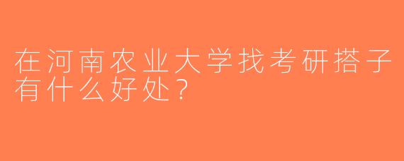 在河南农业大学找考研搭子有什么好处？