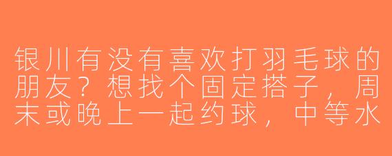 银川有没有喜欢打羽毛球的朋友？想找个固定搭子，周末或晚上一起约球，中等水平，场地可以AA！