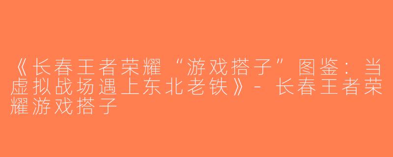 《长春王者荣耀“游戏搭子”图鉴：当虚拟战场遇上东北老铁》-长春王者荣耀游戏搭子
