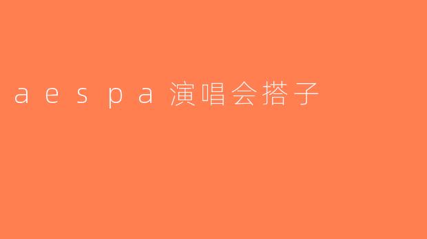 aespa演唱会搭子