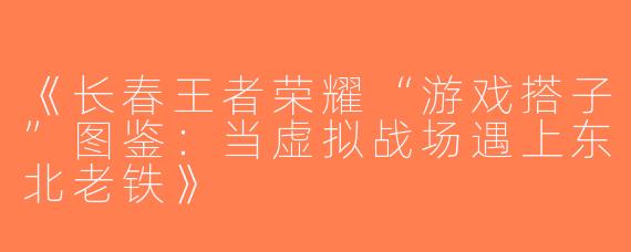《长春王者荣耀“游戏搭子”图鉴：当虚拟战场遇上东北老铁》