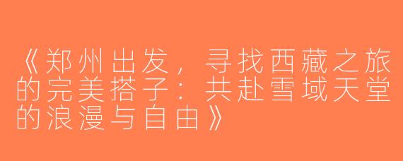 《郑州出发，寻找西藏之旅的完美搭子：共赴雪域天堂的浪漫与自由》