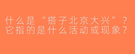 什么是“搭子北京大兴”？它指的是什么活动或现象？