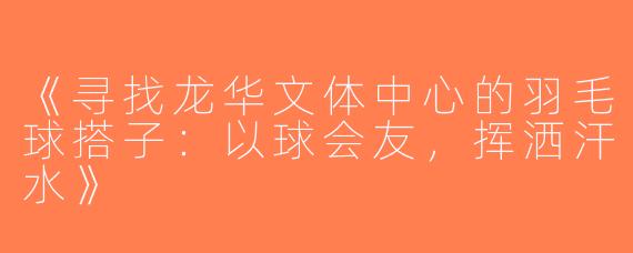 《寻找龙华文体中心的羽毛球搭子：以球会友，挥洒汗水》