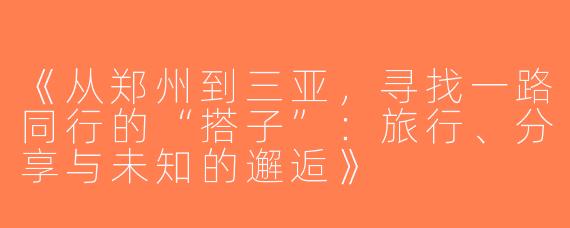 《从郑州到三亚，寻找一路同行的“搭子”：旅行、分享与未知的邂逅》
