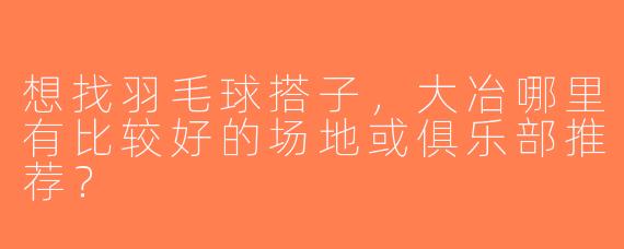 想找羽毛球搭子，大冶哪里有比较好的场地或俱乐部推荐？