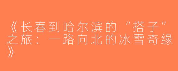 《长春到哈尔滨的“搭子”之旅：一路向北的冰雪奇缘》