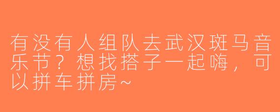 有没有人组队去武汉斑马音乐节？想找搭子一起嗨，可以拼车拼房~