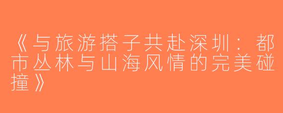 《与旅游搭子共赴深圳：都市丛林与山海风情的完美碰撞》