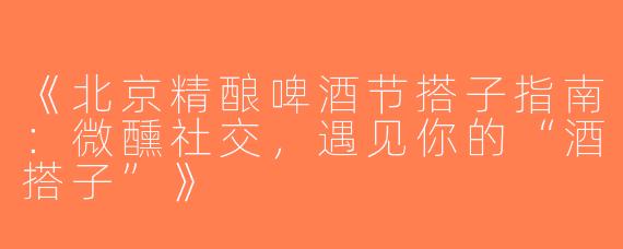 《北京精酿啤酒节搭子指南：微醺社交，遇见你的“酒搭子”》