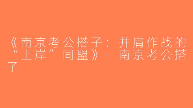 《南京考公搭子：并肩作战的“上岸”同盟》-南京考公搭子