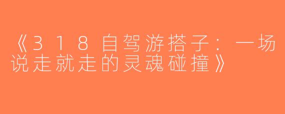 《318自驾游搭子：一场说走就走的灵魂碰撞》