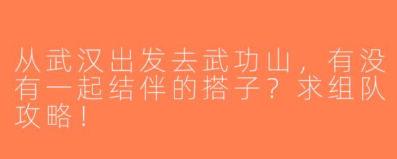 从武汉出发去武功山，有没有一起结伴的搭子？求组队攻略！