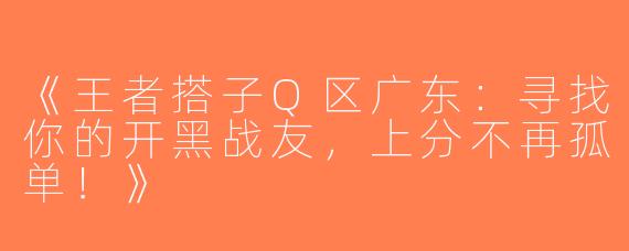 《王者搭子Q区广东：寻找你的开黑战友，上分不再孤单！》