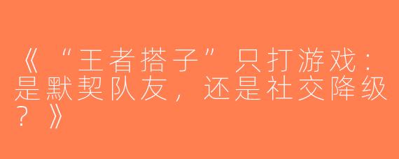 《“王者搭子”只打游戏：是默契队友，还是社交降级？》