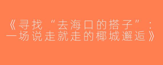 《寻找“去海口的搭子”：一场说走就走的椰城邂逅》
