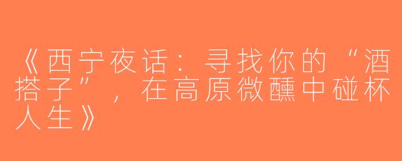 《西宁夜话：寻找你的“酒搭子”，在高原微醺中碰杯人生》