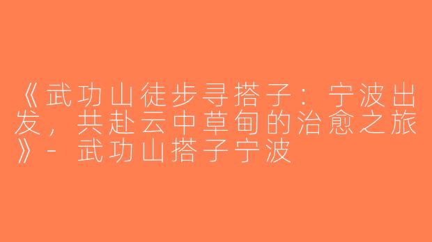 《武功山徒步寻搭子：宁波出发，共赴云中草甸的治愈之旅》-武功山搭子宁波
