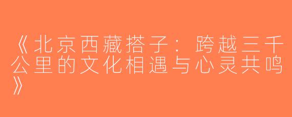 《北京西藏搭子：跨越三千公里的文化相遇与心灵共鸣》