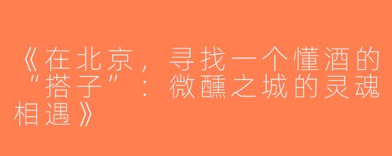 《在北京，寻找一个懂酒的“搭子”：微醺之城的灵魂相遇》