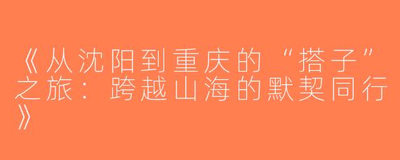 《从沈阳到重庆的“搭子”之旅：跨越山海的默契同行》