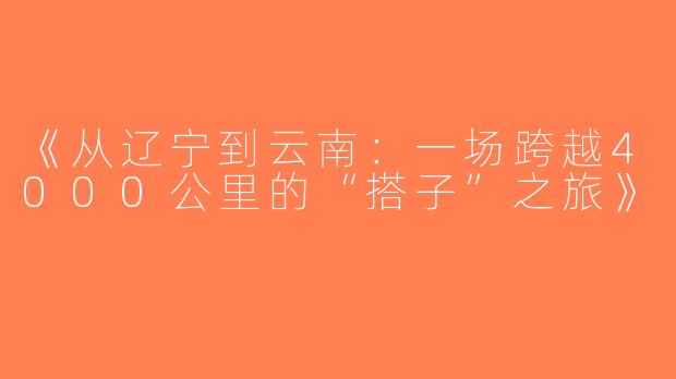 《从辽宁到云南：一场跨越4000公里的“搭子”之旅》