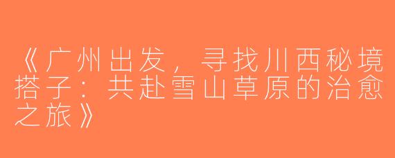 《广州出发，寻找川西秘境搭子：共赴雪山草原的治愈之旅》