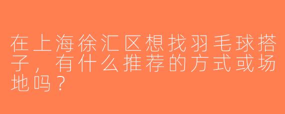 在上海徐汇区想找羽毛球搭子，有什么推荐的方式或场地吗？