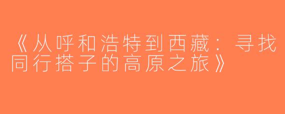 《从呼和浩特到西藏：寻找同行搭子的高原之旅》