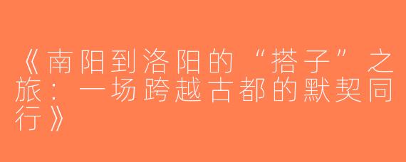 《南阳到洛阳的“搭子”之旅：一场跨越古都的默契同行》