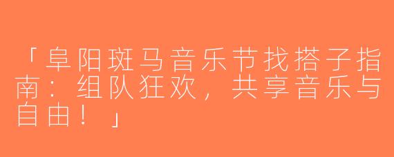 「阜阳斑马音乐节找搭子指南：组队狂欢，共享音乐与自由！」