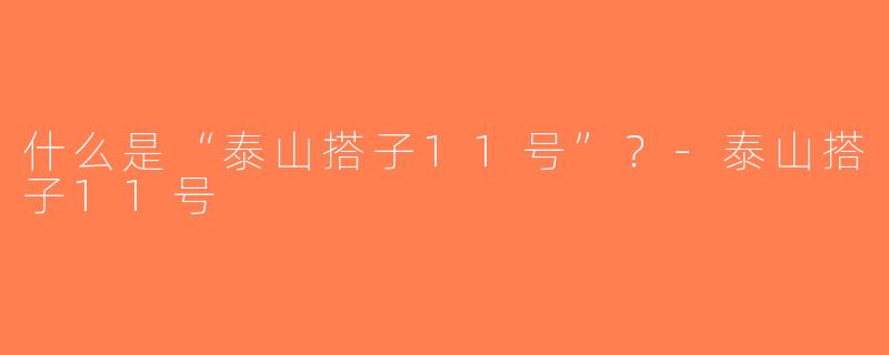 什么是“泰山搭子11号”？-泰山搭子11号