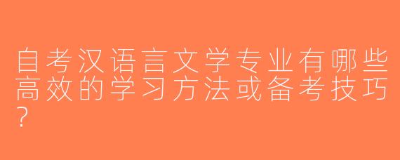 自考汉语言文学专业有哪些高效的学习方法或备考技巧？