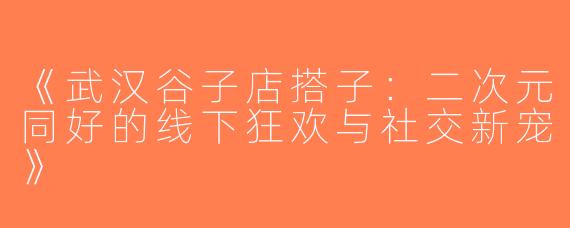 《武汉谷子店搭子：二次元同好的线下狂欢与社交新宠》