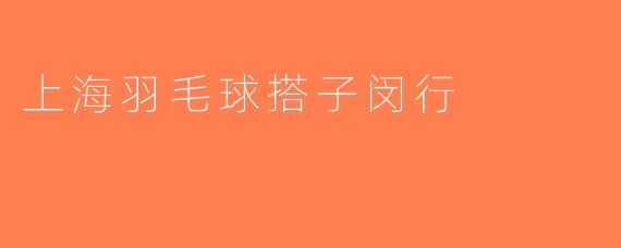 上海羽毛球搭子闵行