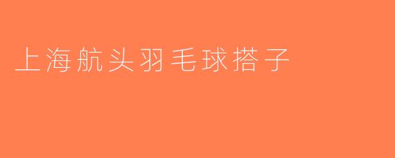 上海航头羽毛球搭子