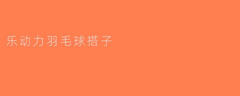 乐动力羽毛球搭子