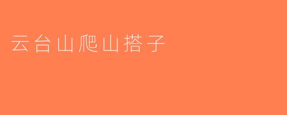 云台山爬山搭子