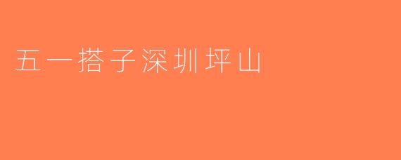 五一搭子深圳坪山