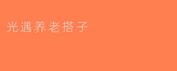 光遇养老搭子