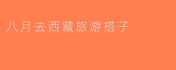 八月去西藏旅游搭子