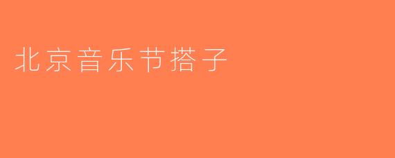 北京音乐节搭子