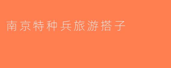 南京特种兵旅游搭子