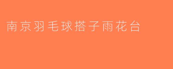 南京羽毛球搭子雨花台