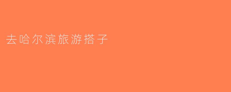 去哈尔滨旅游搭子