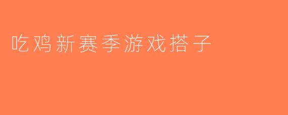 吃鸡新赛季游戏搭子
