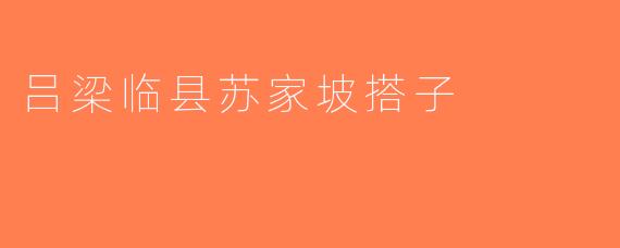 吕梁临县苏家坡搭子