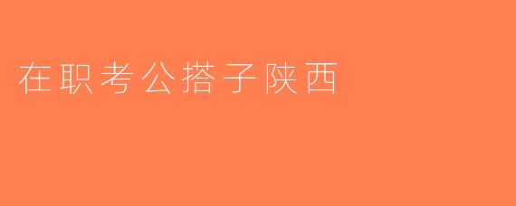 在职考公搭子陕西